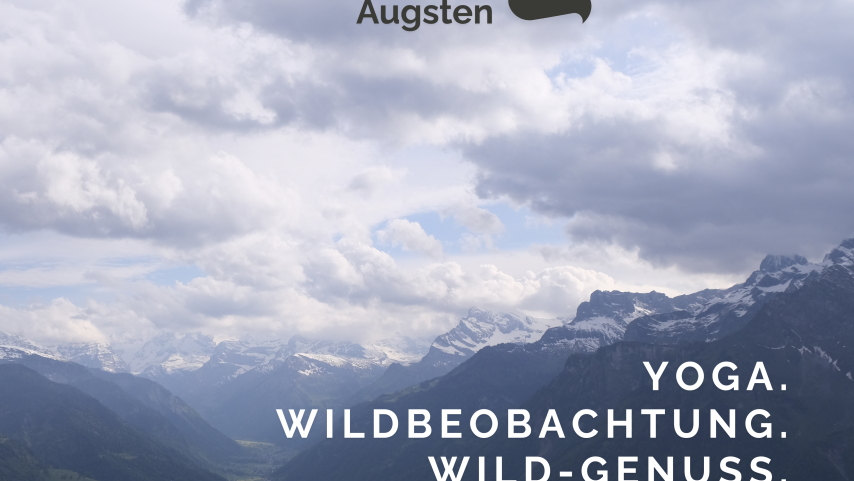 'wild thing' | 25./26.09.26