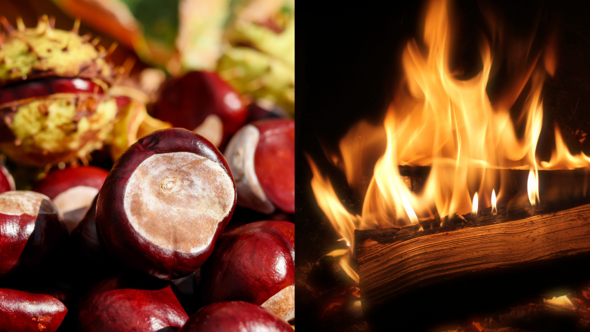 Marroni-Abend | Jetzt reservieren